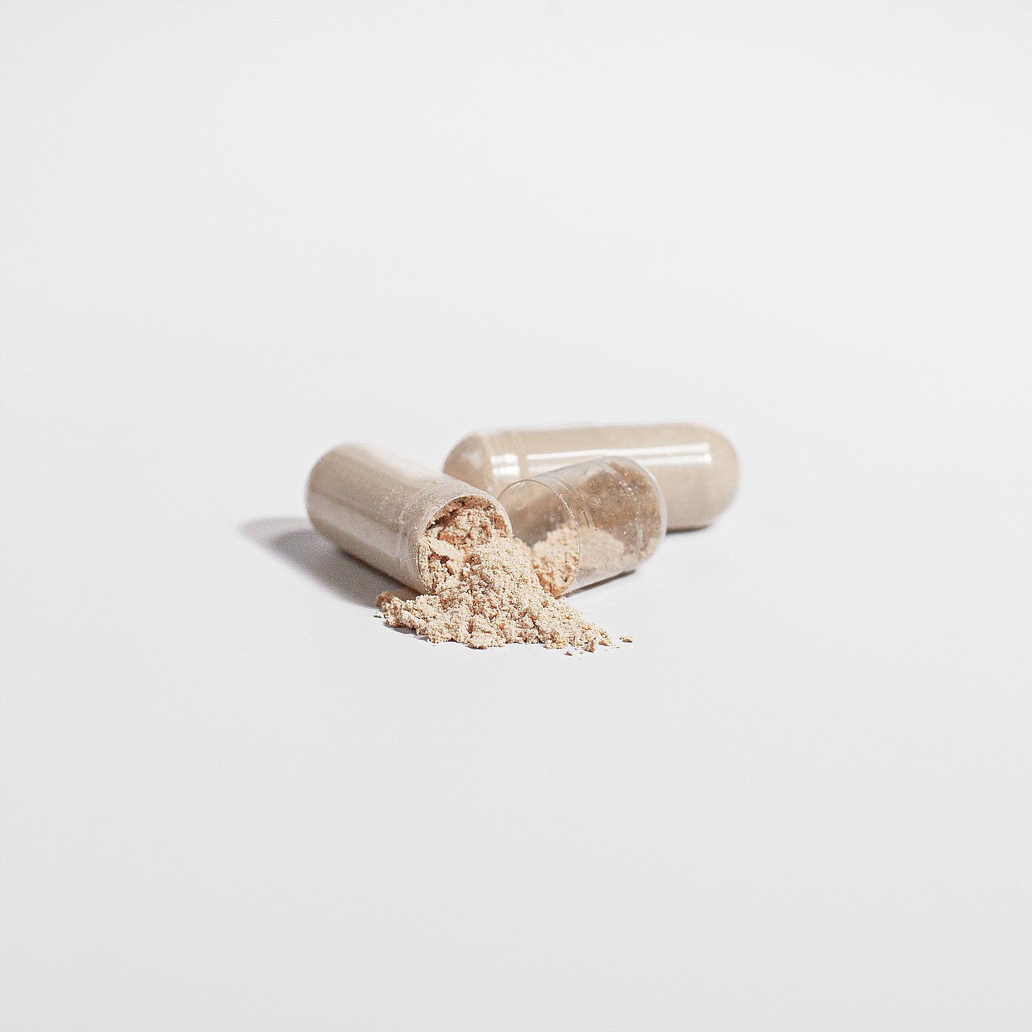 Seaside Mushrooms Chaga Capsules