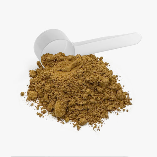 Lion's Mane & Chaga Instant Coffee (Medium Roast)