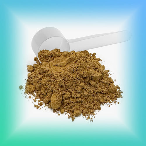 Lion's Mane & Chaga Instant Coffee (Medium Roast)