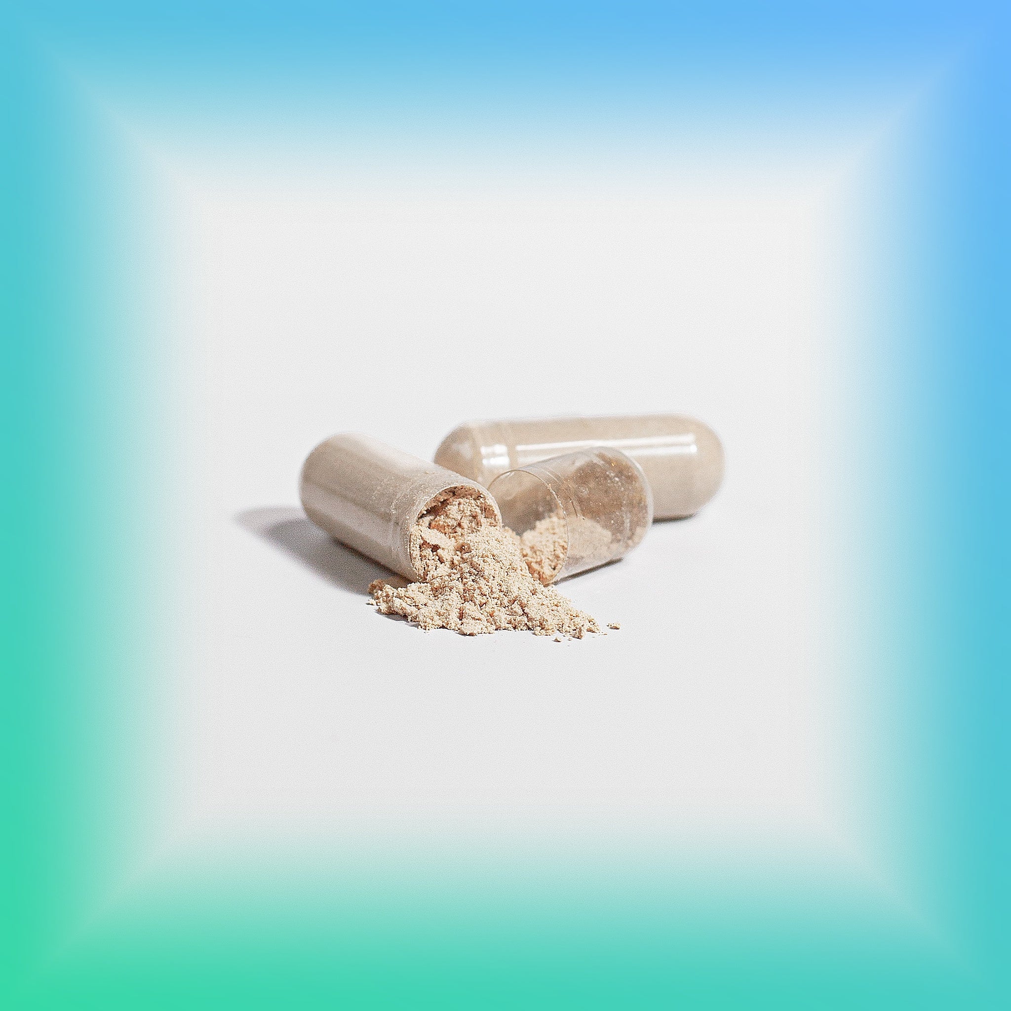 Seaside Mushrooms Chaga Capsules
